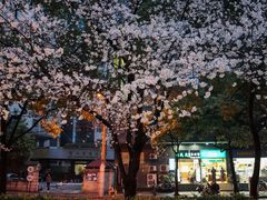 -玛格萝妮比萨屋(四平店)