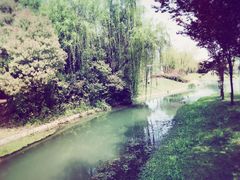 -上海佘山世茂艾美酒店