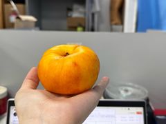 -四川大学(华西校区)