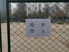 -长白岛森林公园