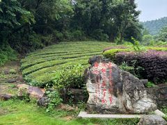 -敬亭山风景名胜区