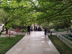-南山植物园