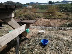 -浅山蜜塘奇妙乐园·亲子营地