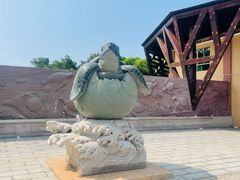 -广东惠东海龟国家级自然保护区