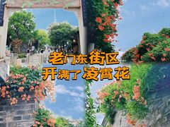 -老门东历史文化街区
