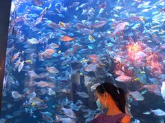 -成都浩海立方海洋公园