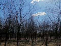 -大兴滨河森林公园