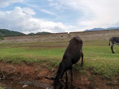 -蜀九香火锅(九眼桥店)