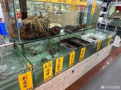 -寻味顺德·南记酒家·传统顺德菜·鱼生(广源路店)