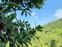 -雅达·阳羡溪山小镇中心