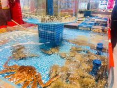 -好礼家海鲜•海肠捞饭大王(金沙滩念慈别墅店)