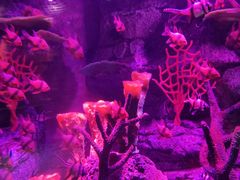 -沈阳海洋探索中心