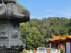-深圳仙湖植物园