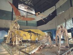 -湖南省地质博物馆