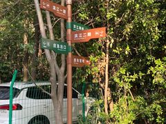 -上海滨江森林公园