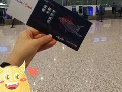 -温州龙湾国际机场