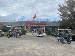 -上海海湾国家森林公园