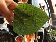 Dombe豚(黑猪肉街店)-Dombe豚(黑猪肉街店)