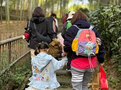 -宁波浙东大竹海景区