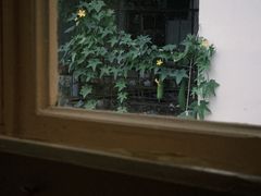 -春风十里咖啡馆