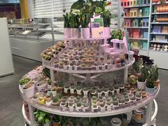 -KKV(深圳kk one 店)