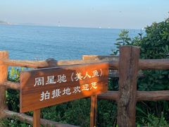 -杨梅坑