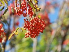 -松花湖风景名胜区