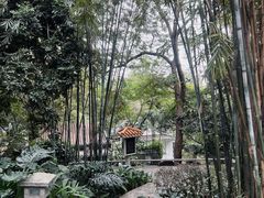 -广州兰圃