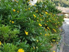 -高荡千年布依古寨旅游景区