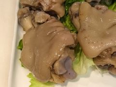 -丁老爷子苏香圆