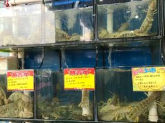 水产区-蚝专家(北滘店)