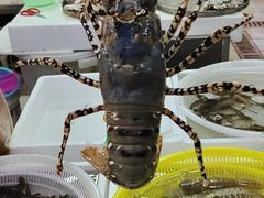 -板桥海鲜广场(文明东店)