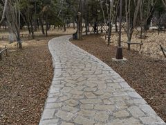 -万泉公园