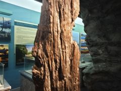 -大同煤炭博物馆