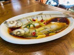 -老马家·舌尖上的西塘美食