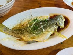 清蒸大黄鱼-舌尖上·霞浦滩涂海鲜(总店)