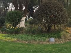 -昆山城市生态森林公园