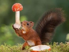 -萨莉亚意式餐厅(特力时尚汇店)