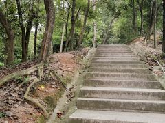 -中山市树木园