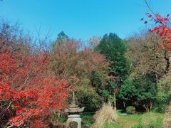 -慧因高丽寺