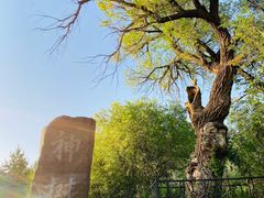 -塞罕坝国家级自然保护区