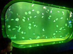 -厦门海底世界