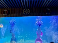 -左海海底世界