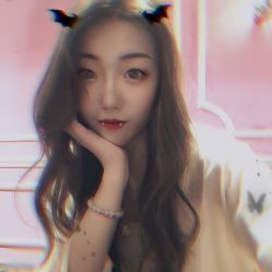 点击看大图 -金棕榈