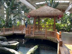 -南宫五洲植物乐园