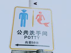 -枸杞岛