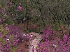 -天台山赤城山景区