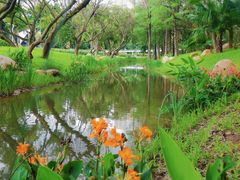 -人民公园(罗湖区)