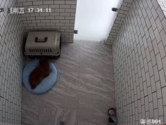 -趣玩宠物乐园寄养训犬训狗游泳池