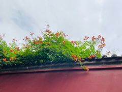 -西安市广仁寺